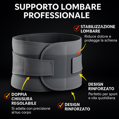VibraBelt Pro